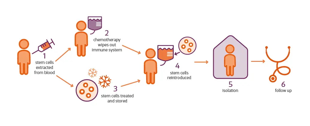 essais cliniques pour les cellules souches