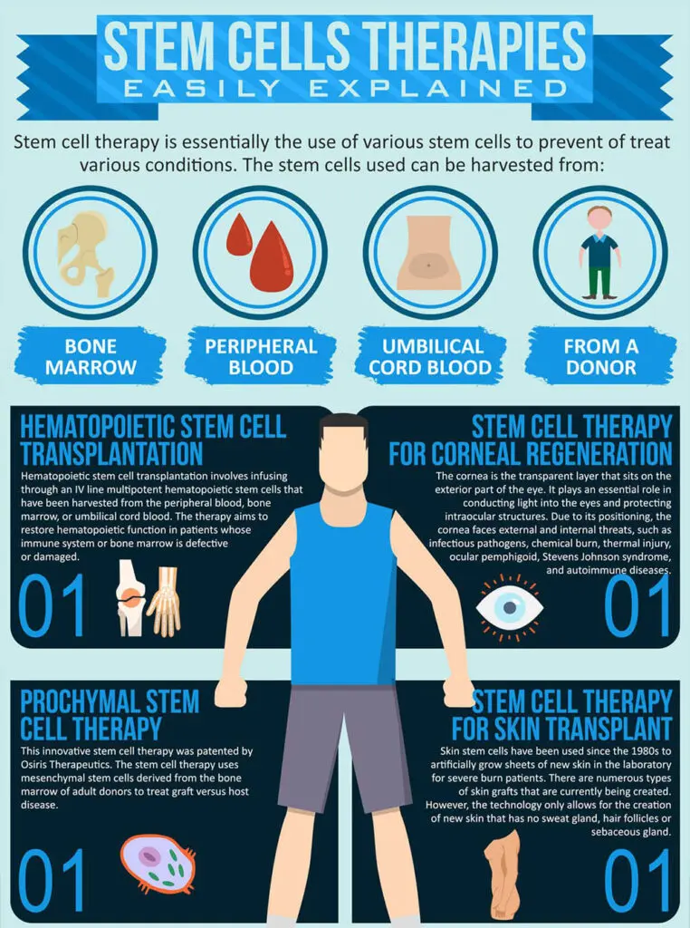 aspects éthiques et réglementaires du traitement par cellules souches