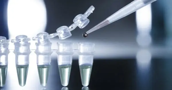Protocole d'injection de cellules souches à haute puissance pour les affections dégénératives