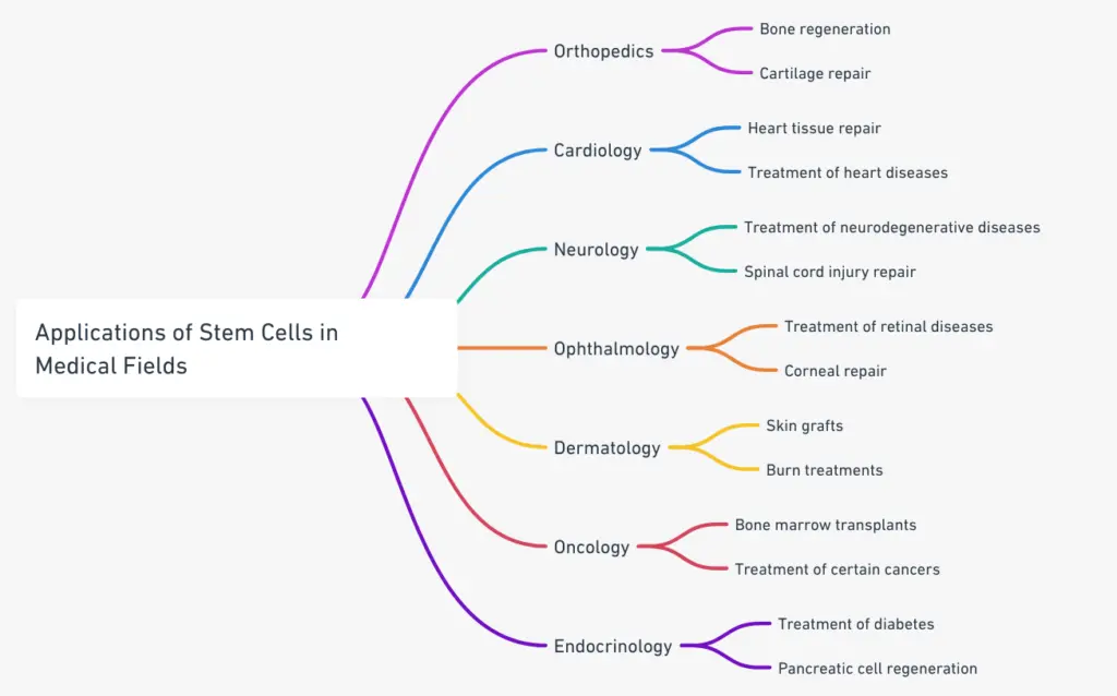 L'application des cellules souches dans divers domaines médicaux