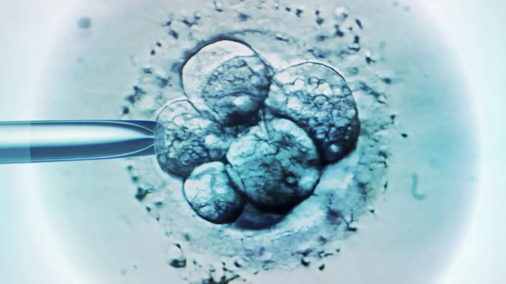 Une représentation visuelle d'une cellule souche embryonnaire