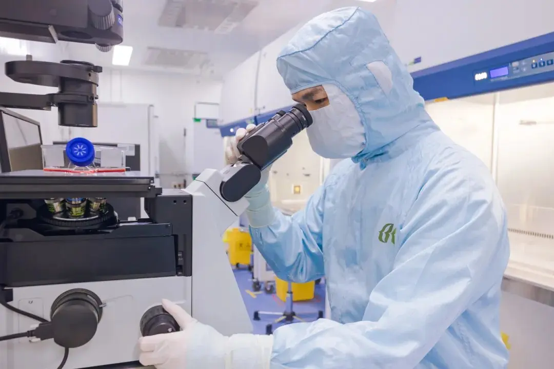 Un technicien de Beike en combinaison de salle blanche stérile examine des cellules souches en culture au microscope
