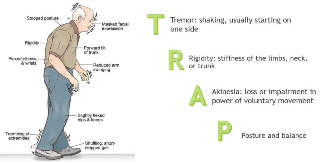 parkinsons disease