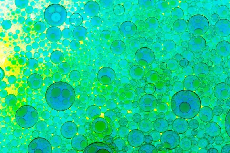 Dix choses à savoir sur la thérapie par les cellules souches