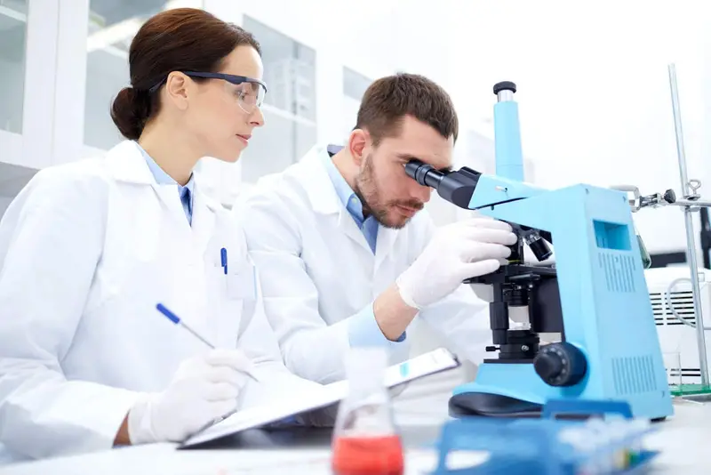 Technologies des cellules souches : l'avenir de la médecine régénérative